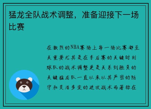猛龙全队战术调整，准备迎接下一场比赛